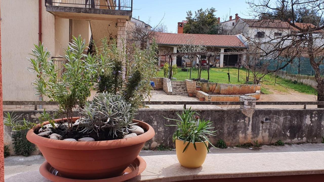 Apartman Istria 4 You Apartamento PUY Exterior foto